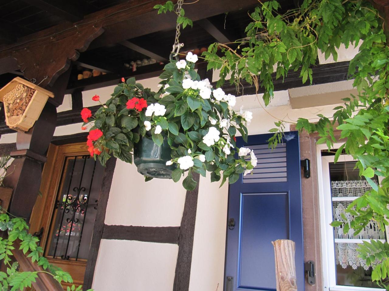 Bed and Breakfast La Ferme De Louise Hohengoeft Exterior foto